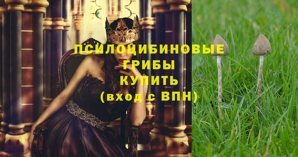 дмт Покачи