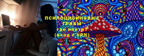 ALPHA PVP Покров