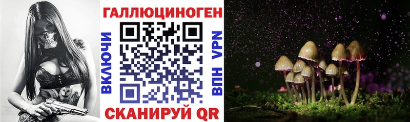 Галлюциногенные грибы Psilocybe  Богородск 