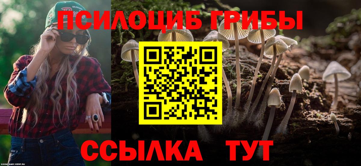 Псилоцибиновые грибы Psilocybine cubensis  Вход с VPN  купить наркотик  Богородск 