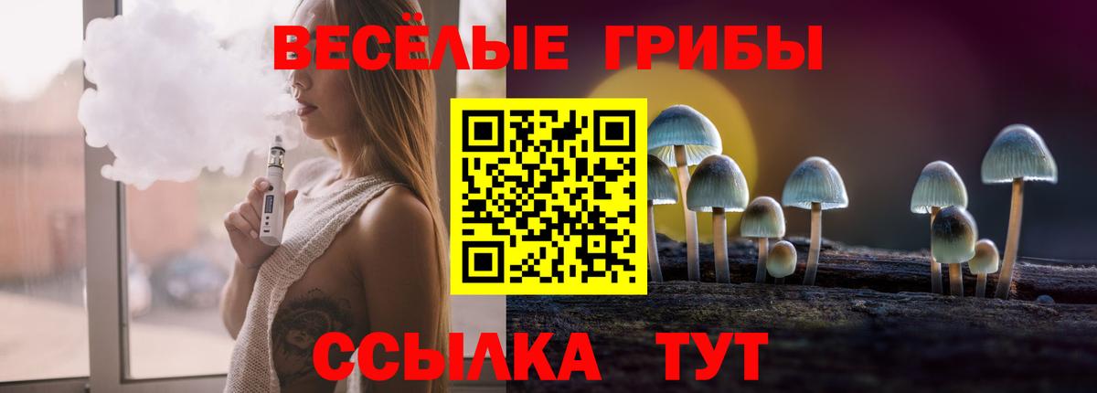 Псилоцибиновые грибы GOLDEN TEACHER Богородск